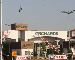 FT-shashad-house-768x768